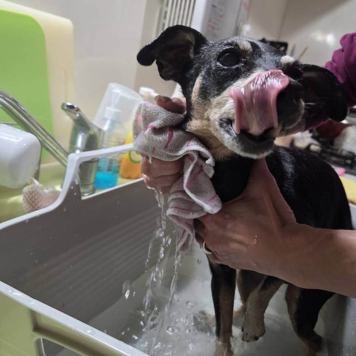 22344233 17d8 48f1 b6f3 cc26b92e1132 1761442993223