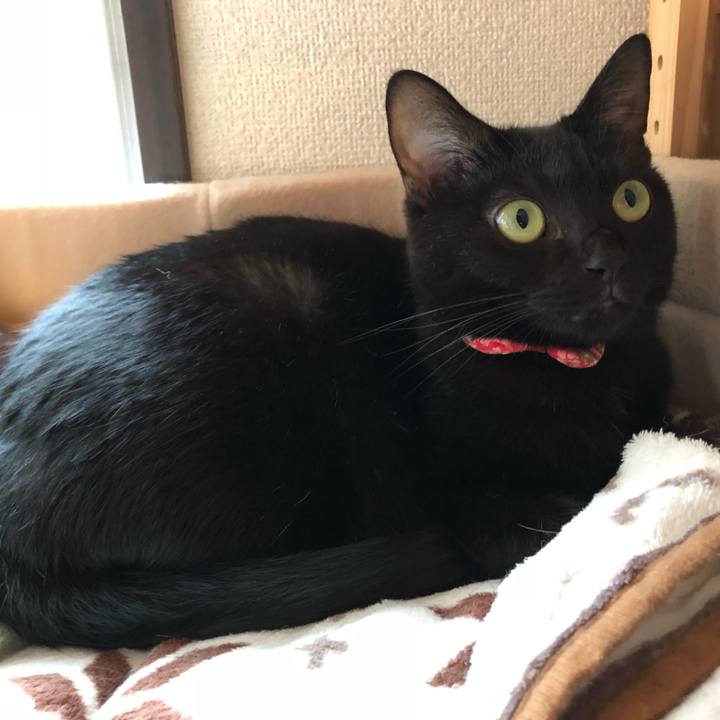 22344f10 e138 4e93 a433 d96038c1e337 1509162897213