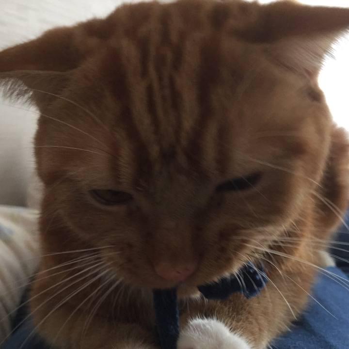 2234660f 4c27 41a2 8dee cb3717fd75db 1540602318529