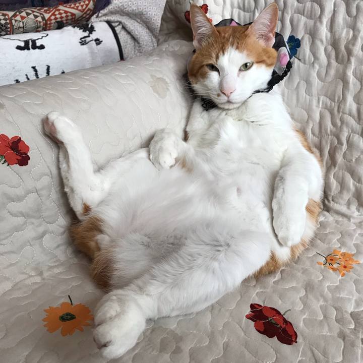 2234749e 7ffe 44f8 99f0 885e4de924f2 1555313527190