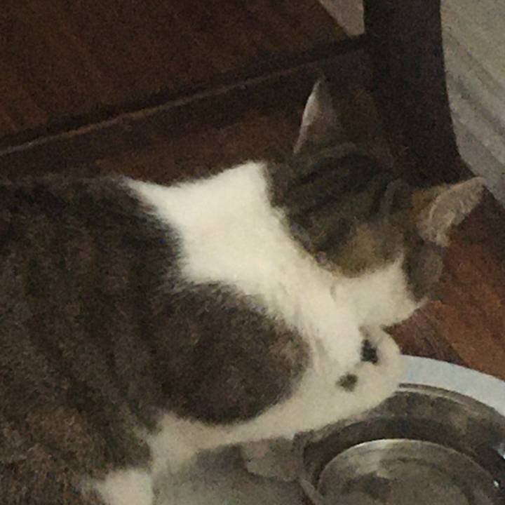 22348303 d82b 4578 8316 93cd7110ff38 1661989582183