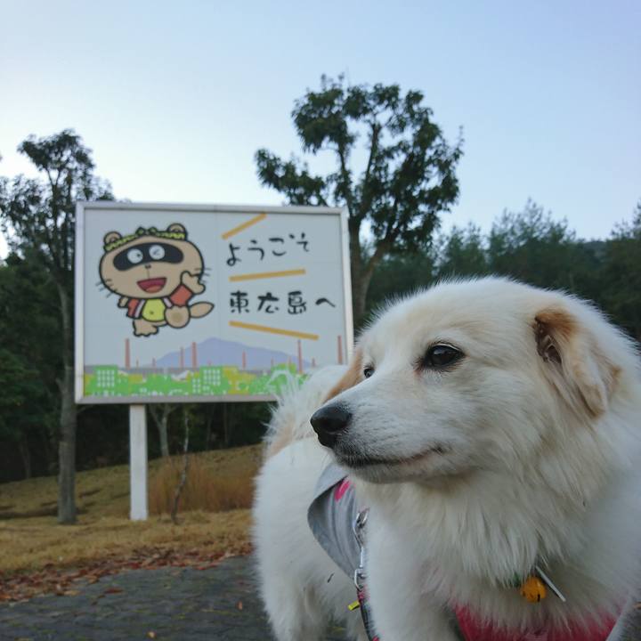 223485b0 3e93 459b 89a9 41717c7710fd 1541282007417