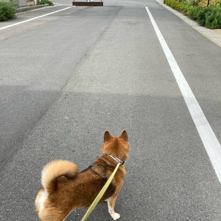 22348c09 bb81 4bac a06a 91438870eed5 1633741511668