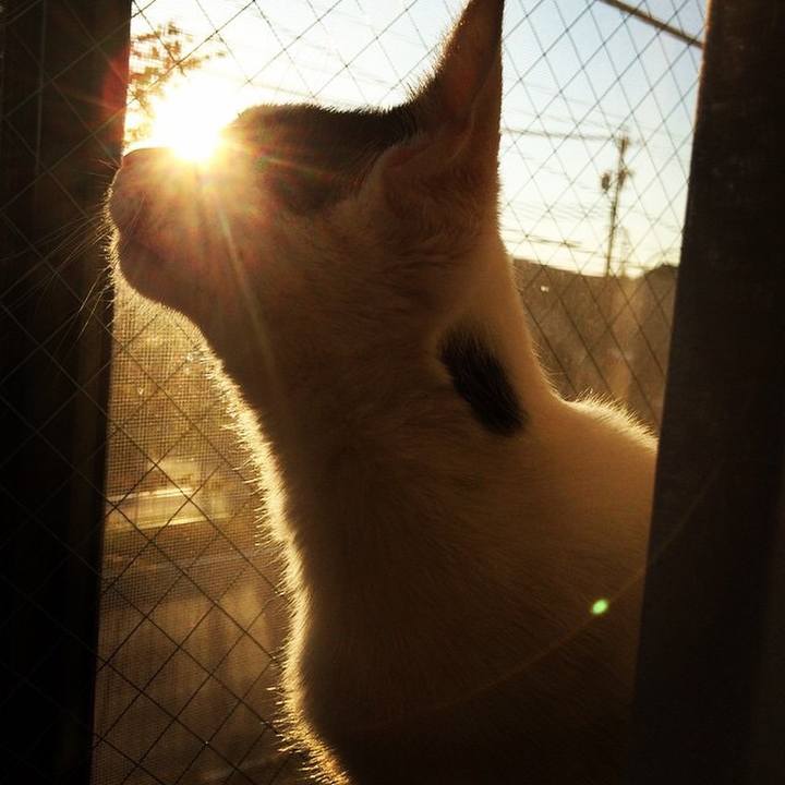 22348d65 3cfa 4b78 aa3d 2b8436090abf 1510391089022