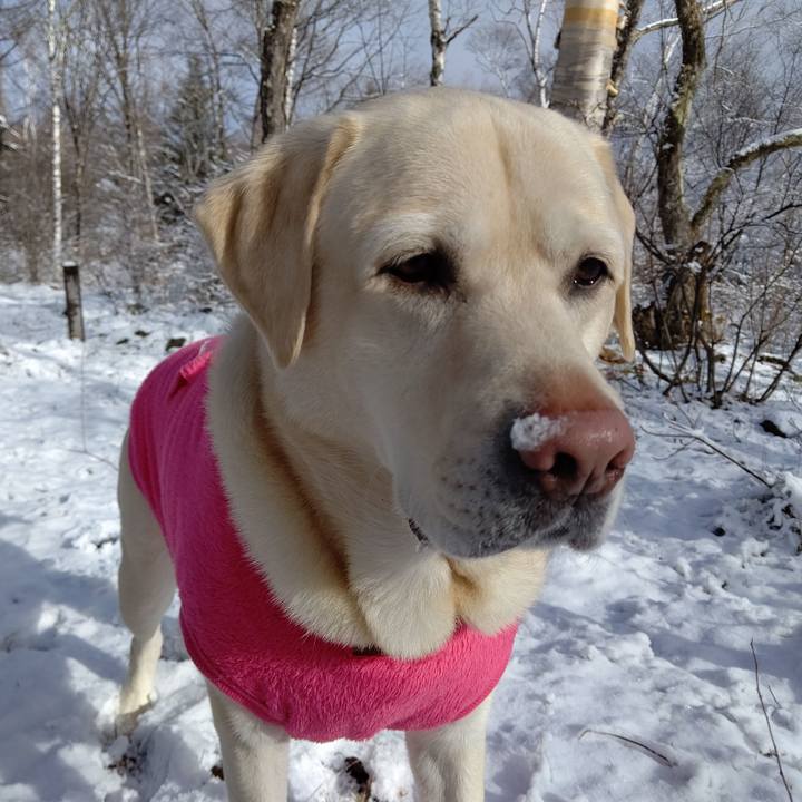 2234a1dc 2b20 4039 bcb8 a37e28fbdc16 1670309595394