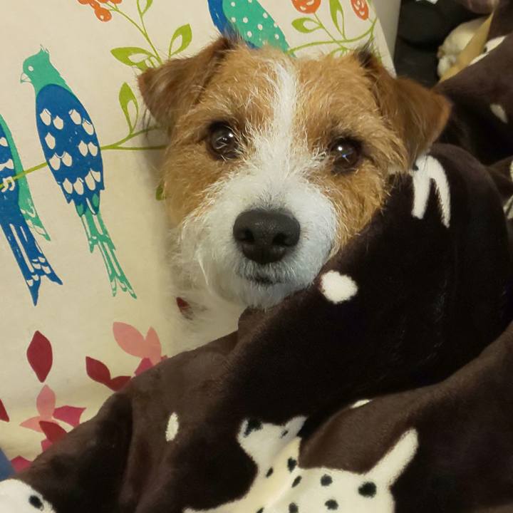 2234c391 709a 4971 89d1 473a4997caab 1607896848926