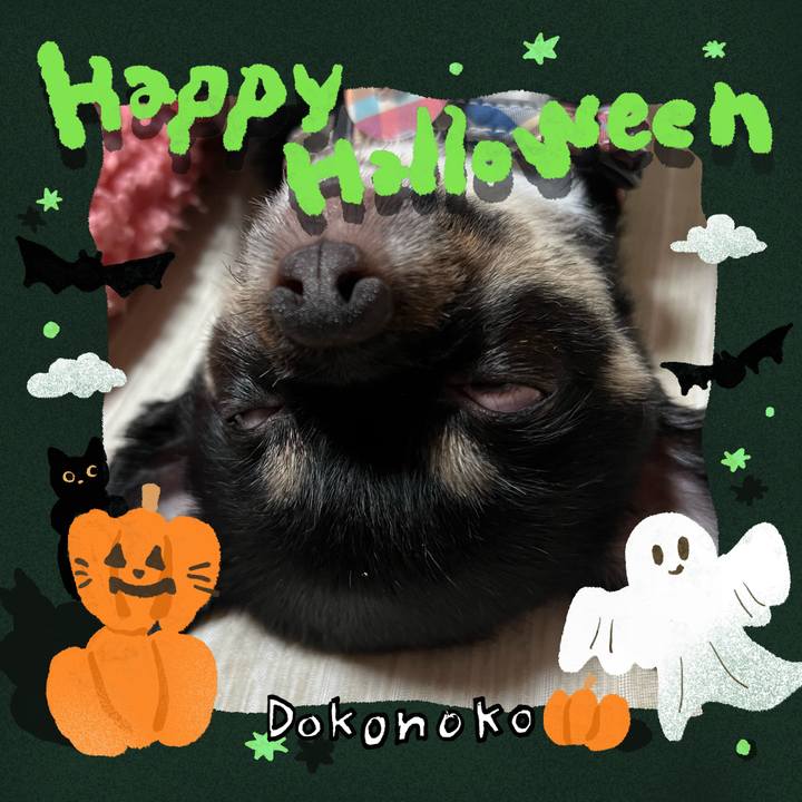 2234d936 a706 4d2e 9fc1 c44eb320cf5a 1729139120133