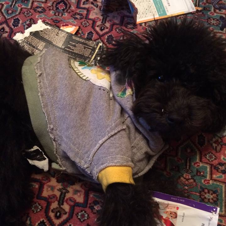 223507eb 89a0 43b4 87f2 f61d56341928 1510980116431