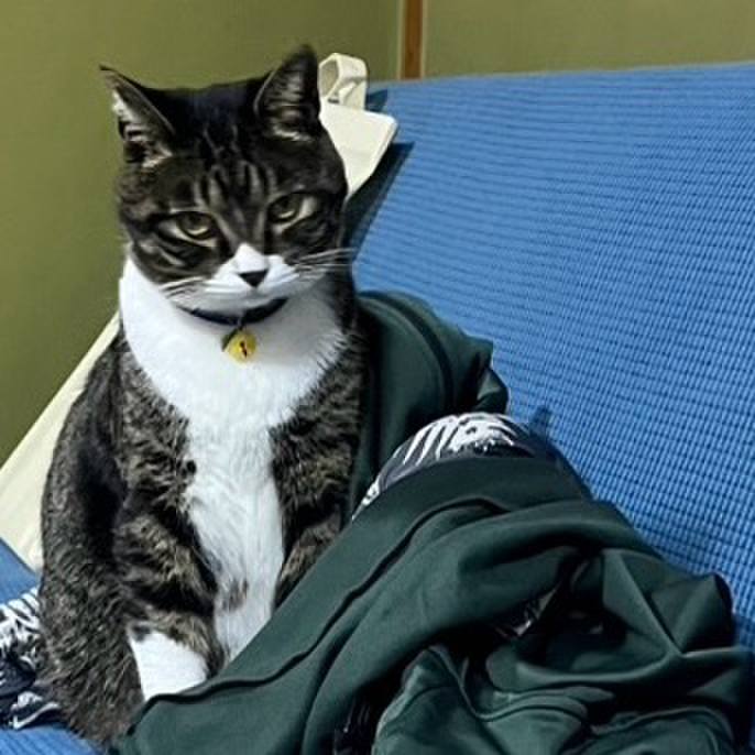 22353eca f461 474a b8d9 d6c144d47cd8 1760315334580