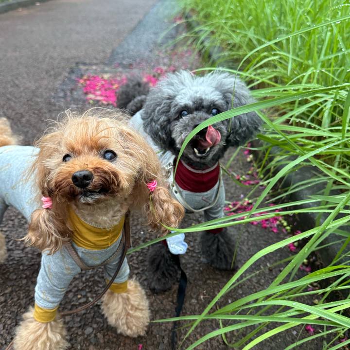 223555c9 56df 4047 9c1f eae6ae482052 1757718365765