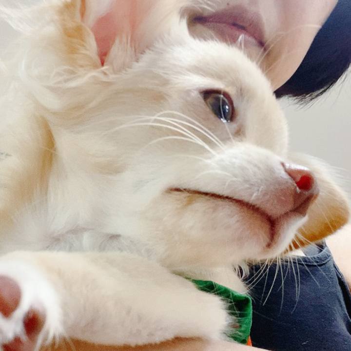 2235bca1 79ac 4cc5 9832 dedb9ba40cc4 1599283785141