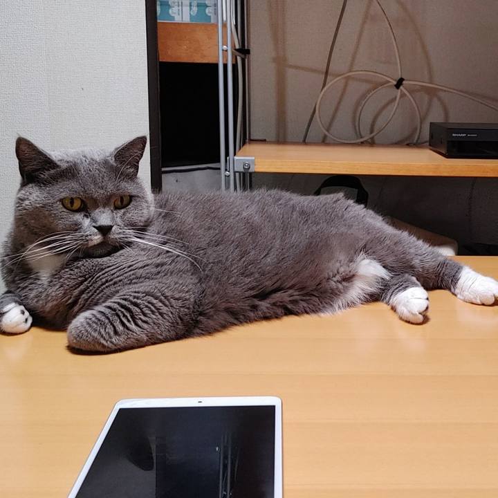 2235e116 b52e 47b1 809f bef7261aeb00 1730807631417