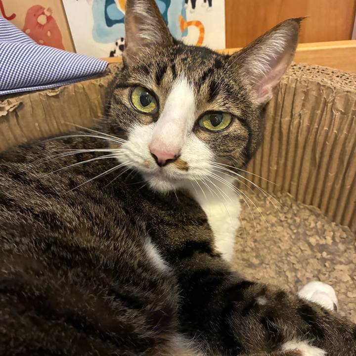 22362ed8 41ab 4046 b792 e6fe0755c606 1764598059172