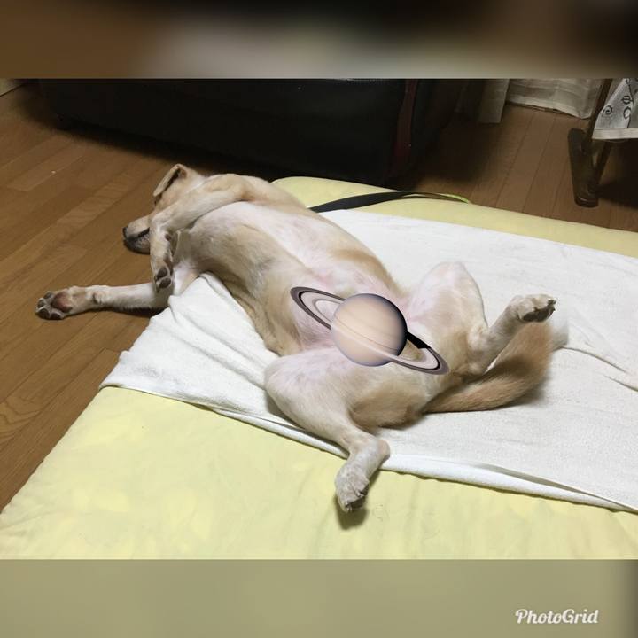 223667ce bac5 40ae 84f6 7bec957dc0ee 1531237532519