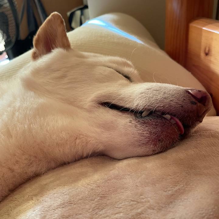 2236c2e2 073d 4b8d a05a 20440fb963e0 1641036585413