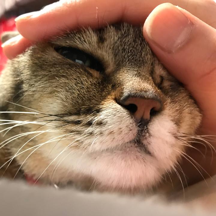 2236cd83 35fd 4d8e a973 3e1476b583d8 1527542706145