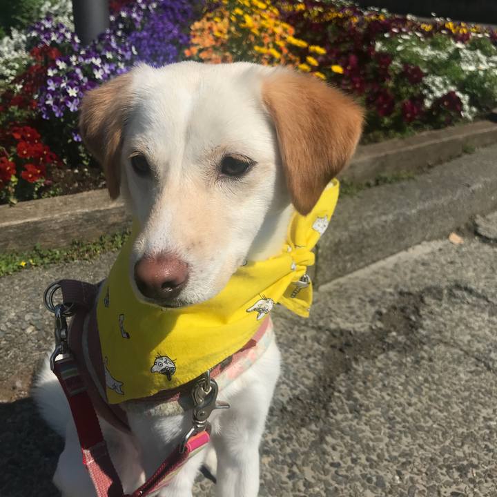 223716ac d510 45d3 aed6 9534dcaf56bc 1521966586185