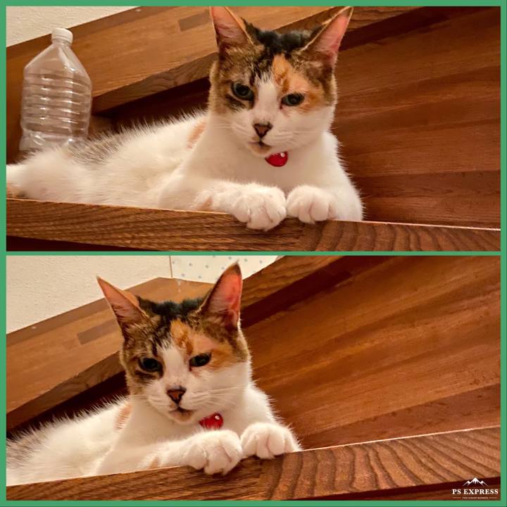 2237326c af39 482b 9167 a766d28daae4 1596816795074