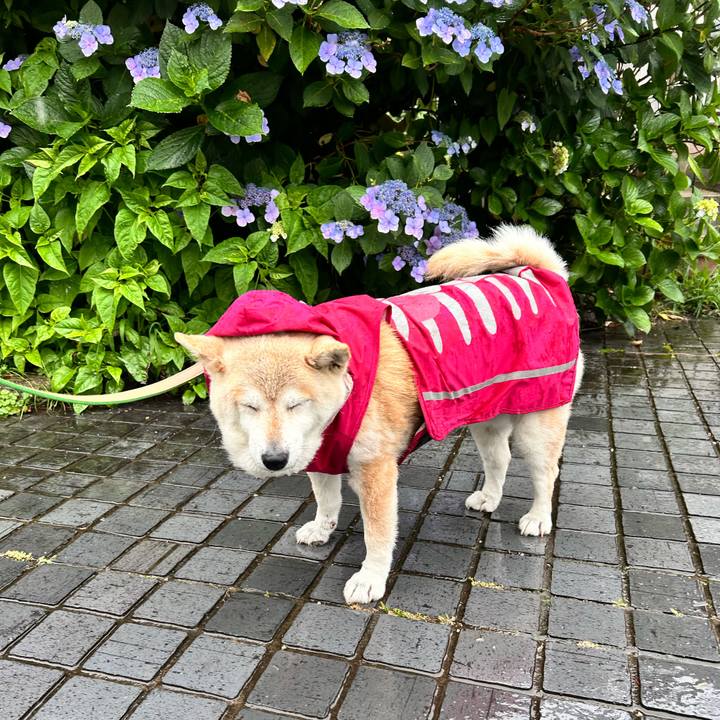 22375975 43fe 4571 834f 85e5107b4513 1749533074375