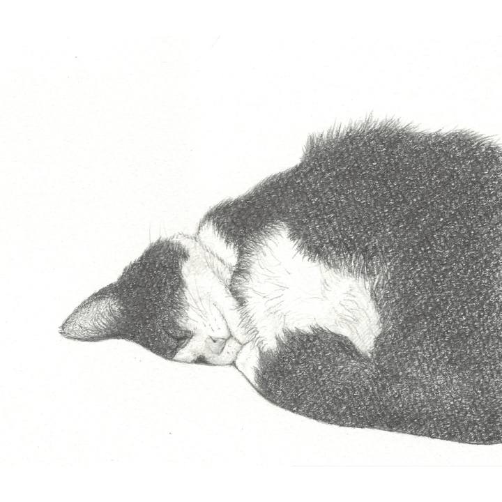 22378395 1319 4c43 a941 1fbc64bff88c 1557583244572