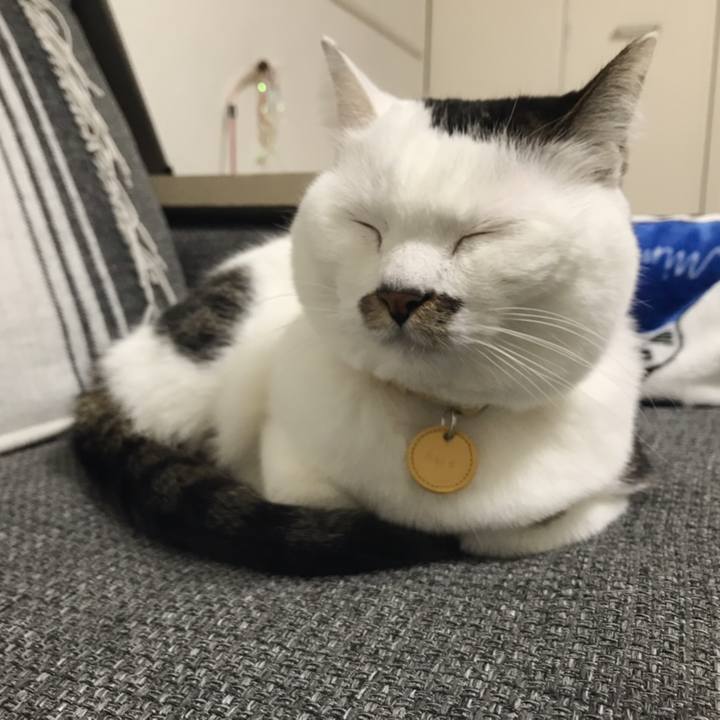 2237c97d aa12 4312 a3b8 e07693a5acd6 1547866017183