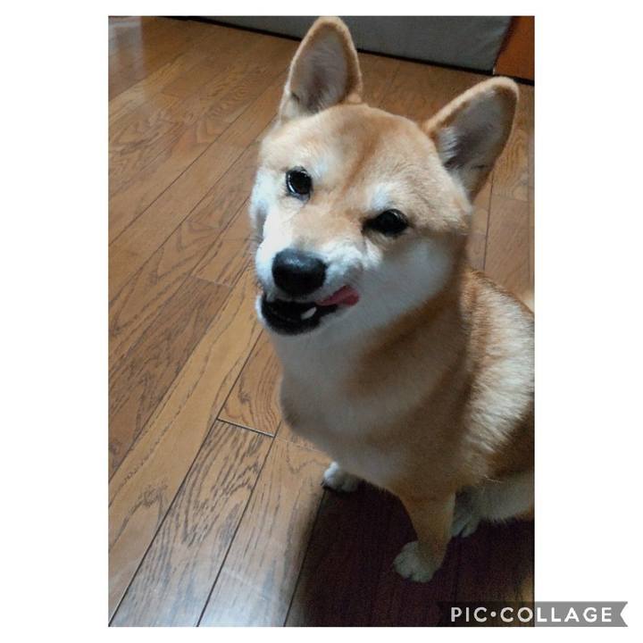 2237e24f 9480 4caa 8f88 130d64accfac 1668330005537