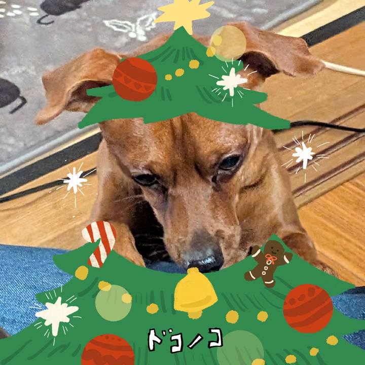 2237e738 801f 4b14 b5cf 3b341234b30b 1763946082400