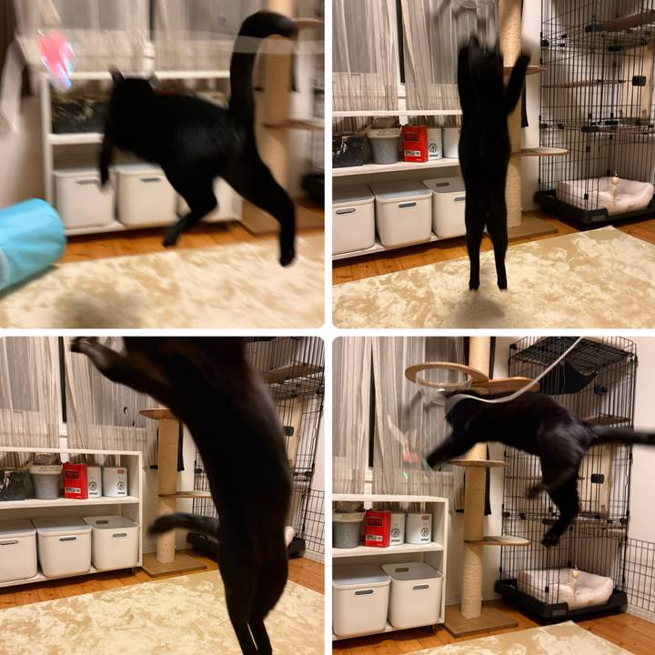 22381314 26d4 42bc 8870 6a8ff13dc510 1767181819264