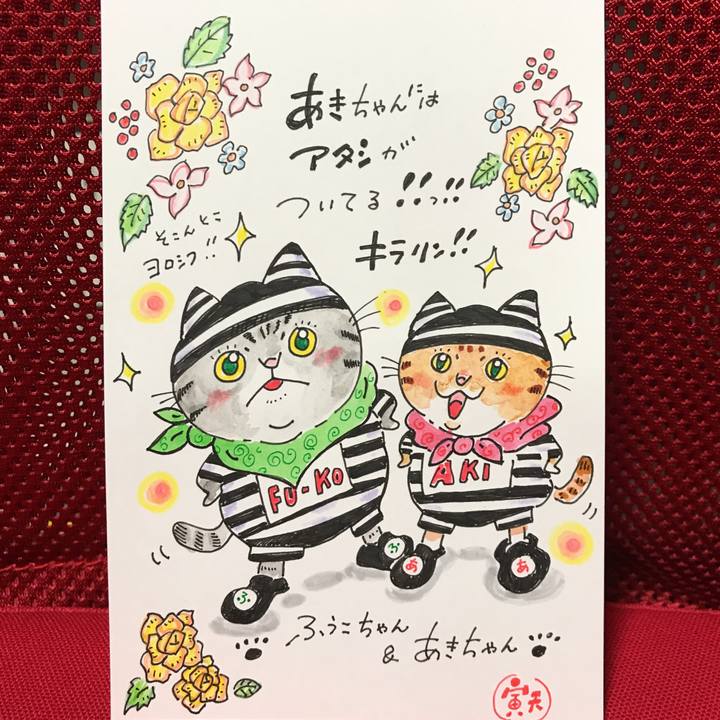 22383185 b8ad 4d8b 996d 6a87de4807c5 1551793915837