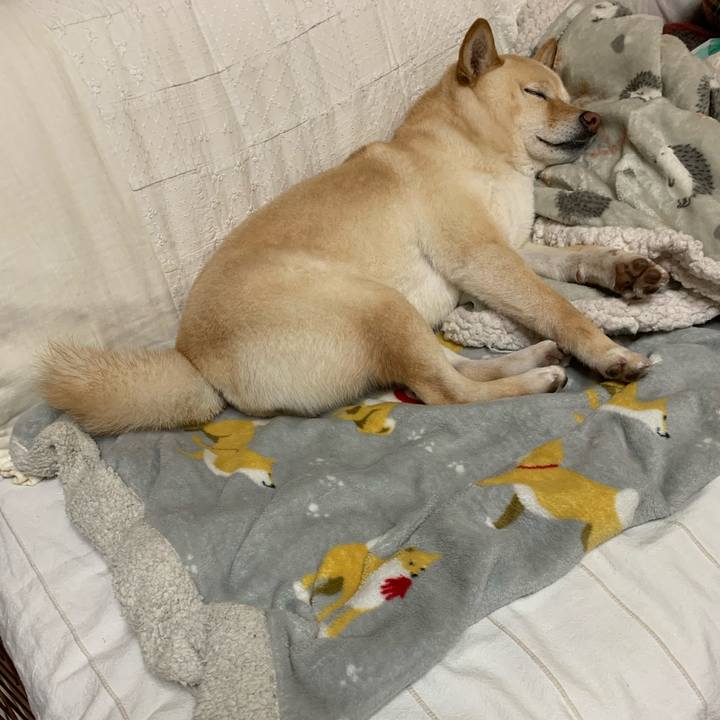 2238357f 7209 4080 a51e 339722d283fb 1616416092211