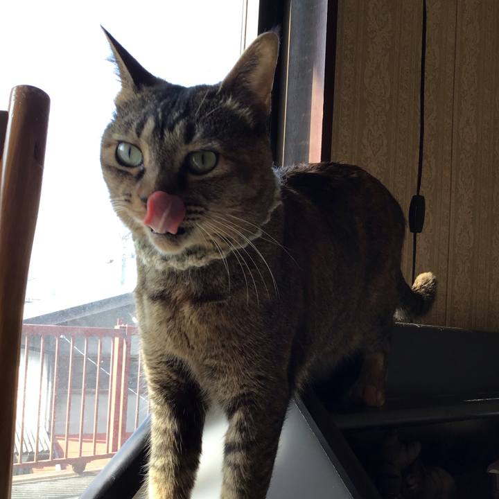 22384b23 4b9c 451e ade4 ccb8e741b961 1649739119721