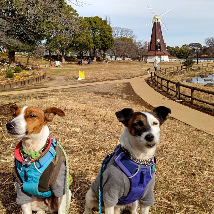 22384c3a 2da3 4362 8d9a bce231c2bdeb 1642217121176