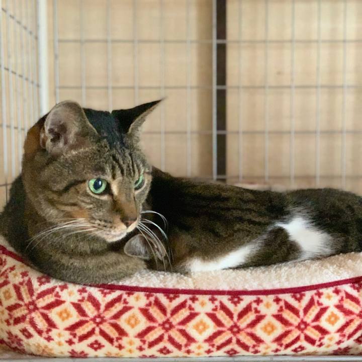 22388fa0 5a69 4471 99bb 80270375dcf1 1576718849135