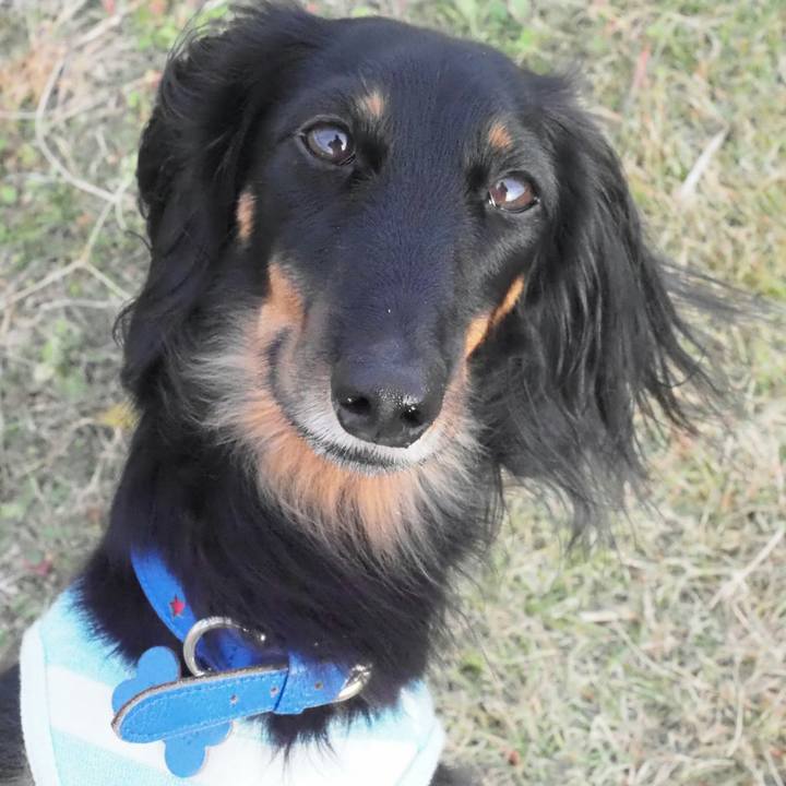 22389915 09a3 49d2 991d 2a08f392fb81 1544843628516