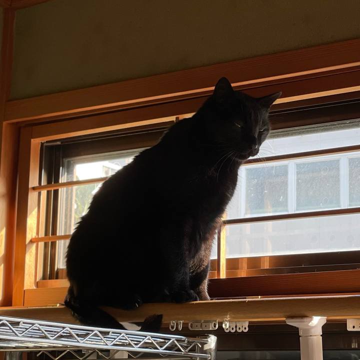 2238aa09 f0cd 4e26 9d98 ce5ad50b7da7 1640658423199