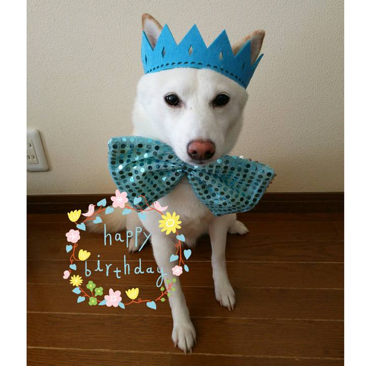 2238b712 bb28 498f b45d da7575f9dfbc 1562459128716