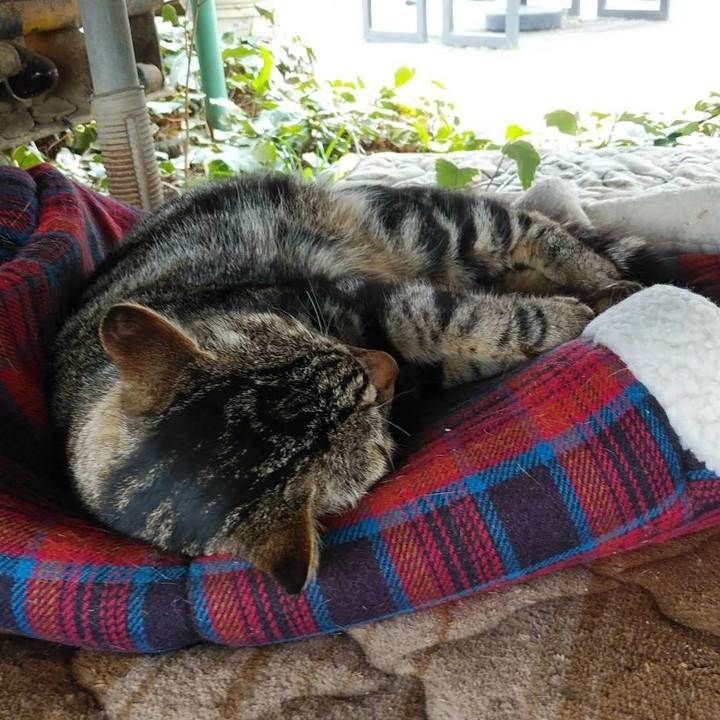 22391100 9eca 4173 b933 54552e070f71 1617101212020