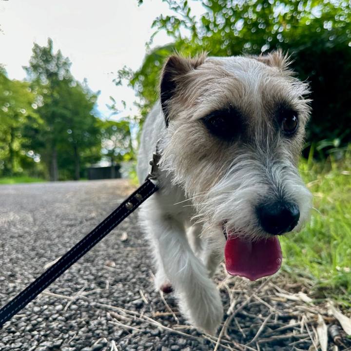 2239444c bdf3 4d70 ad46 5d09c868ca42 1721351633899