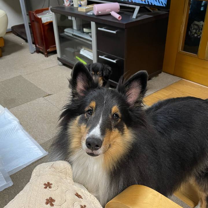 223948c4 086a 445c 9477 be46a838f8e9 1634075236702