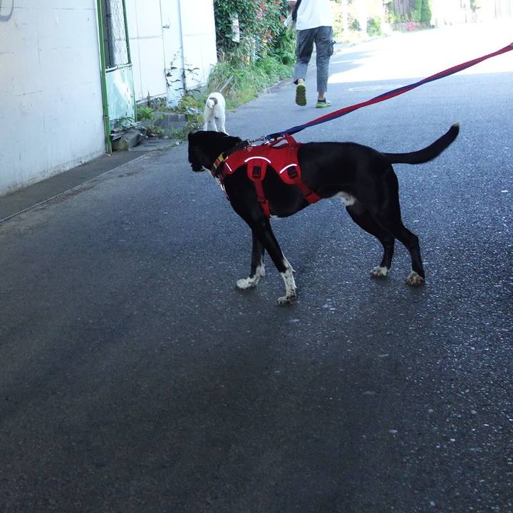 22397b65 8f53 4349 a771 9a66e7841434 1591748772996