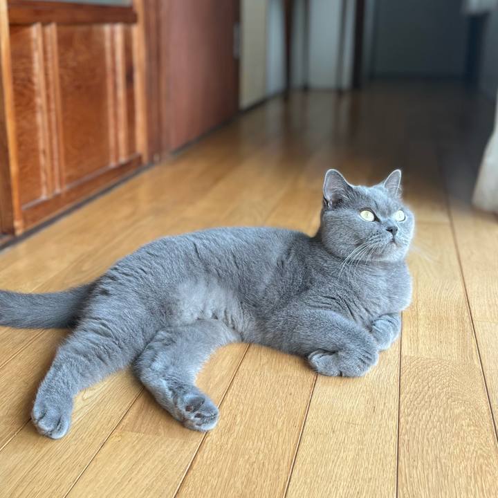 22398ab5 a98f 4a82 90db fd4d4444fa24 1633223146713