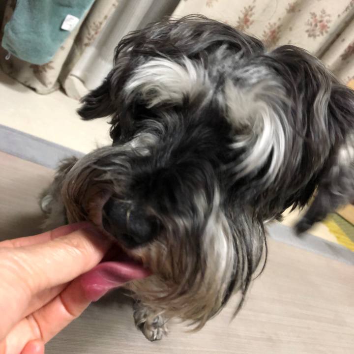 22398d85 6f95 4152 9b81 993ca2d0a775 1623237723156