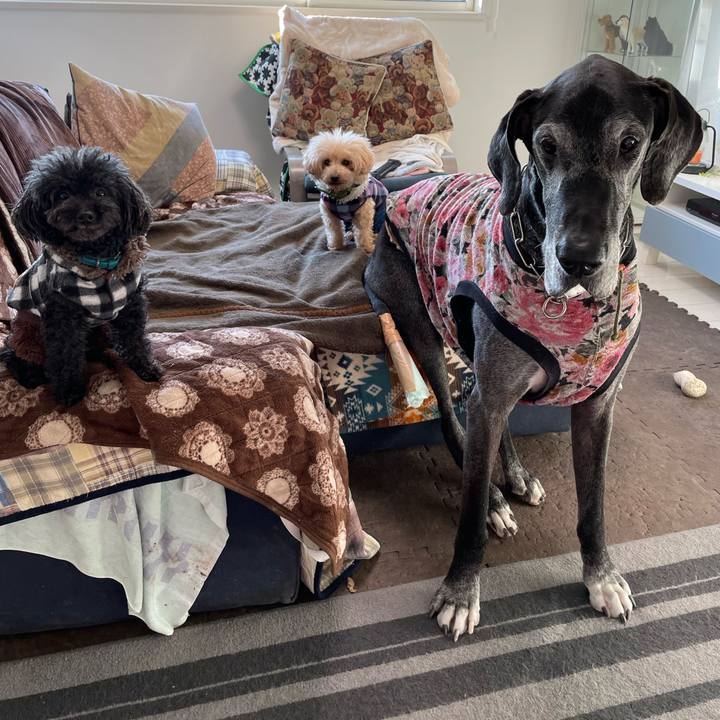 223a0795 1a27 4b6a 8045 33f96d93bdc9 1644965786677