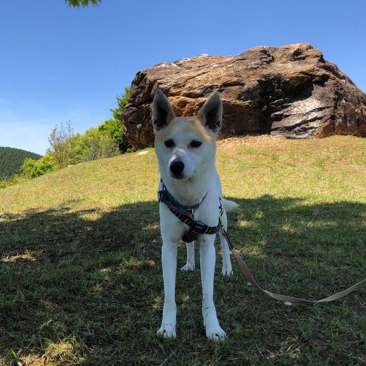 223a1165 5fe2 421a 9c11 b85d9faa5d10 1589544099389