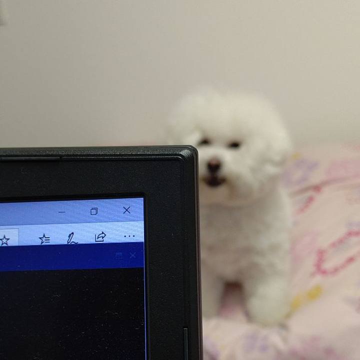 223a1be8 22a1 4e5f a5da d733fcfd0f52 1588230799865