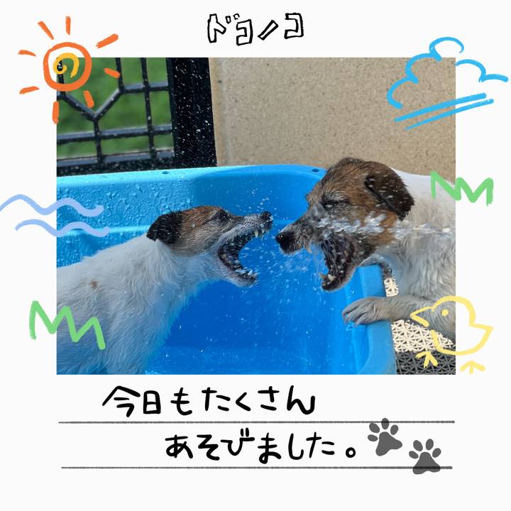 223a1f73 2581 4296 bf8a 3c20cc5e42b9 1755061296705