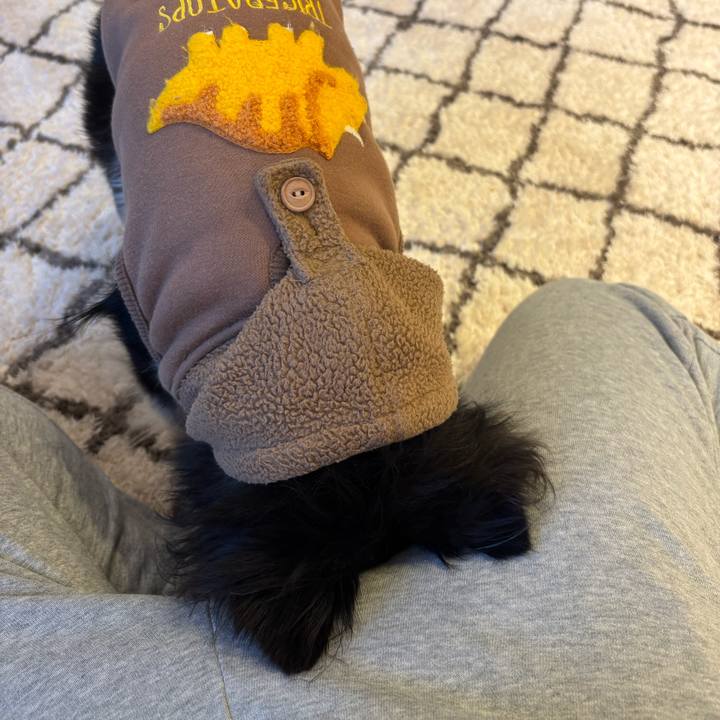 223a2023 ed57 41f5 86b9 ce8c8bb32650 1734799096863