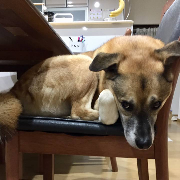 223a20b2 964b 45de 9532 6ffcc2e8364d 1516268816737