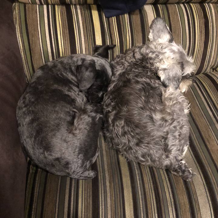 223a6733 d359 4b7f 9f07 497dfd0bcae0 1519910864145