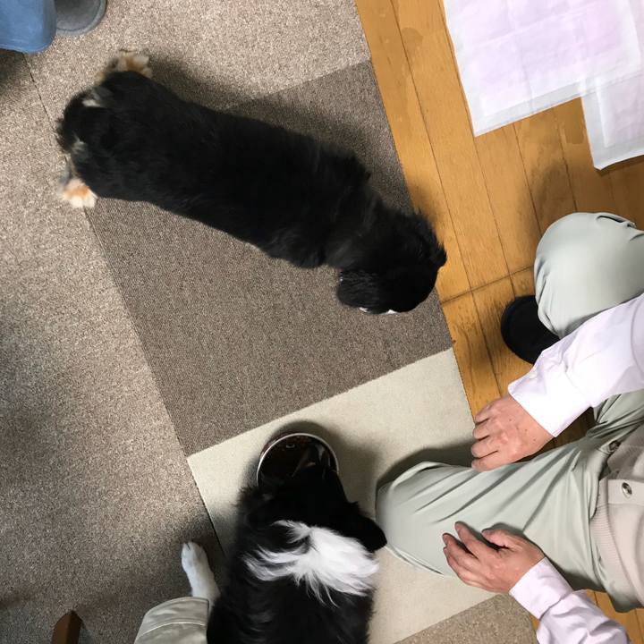 223a75d7 7e7d 4db7 ac64 00cc347cd8f5 1522793082686